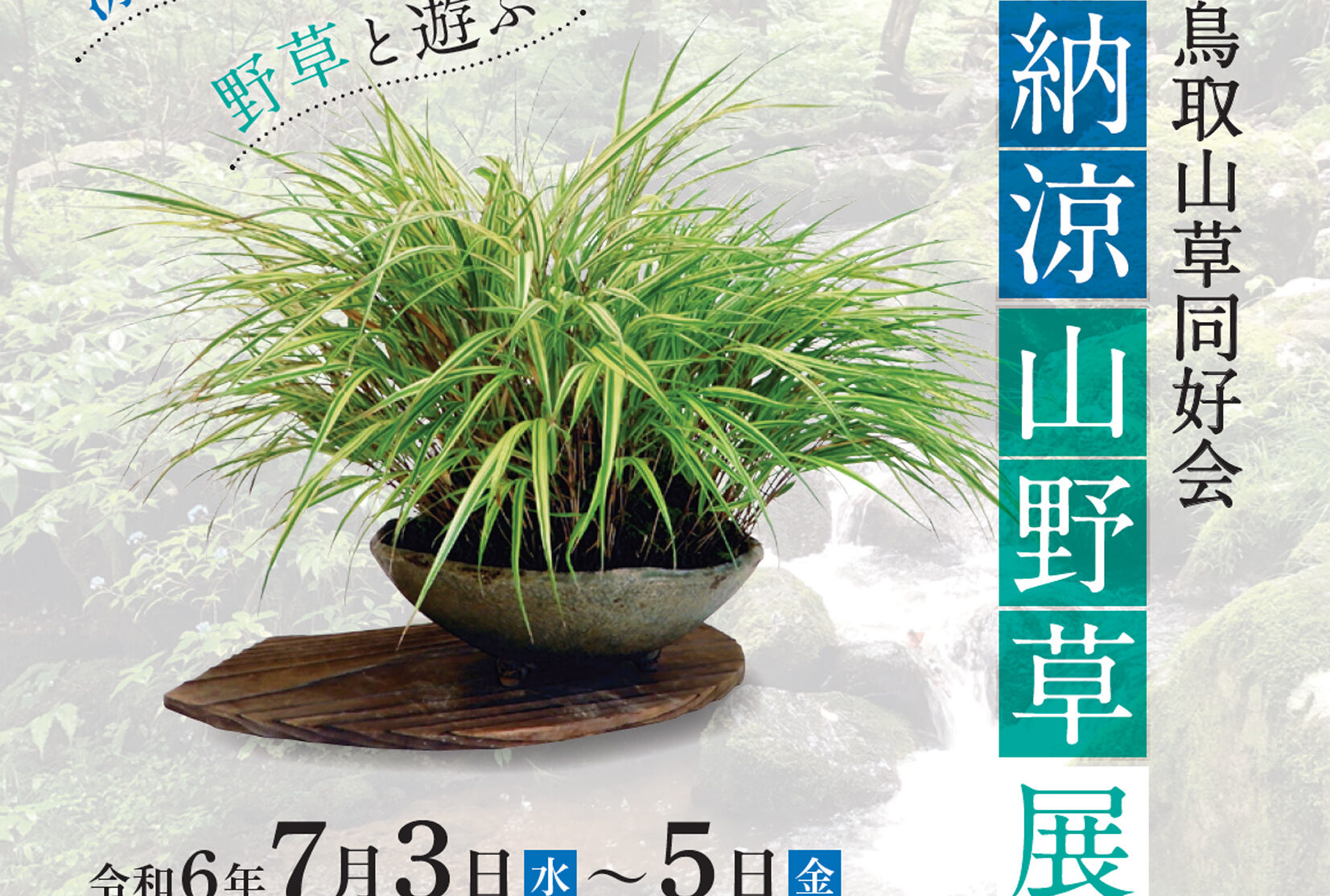鳥取山草同好会 納涼山野草展(2024) | パレットとっとり市民交流ホール 鳥取山草同好会 納涼山野草展(2024) | パレットとっとり市民交流ホール